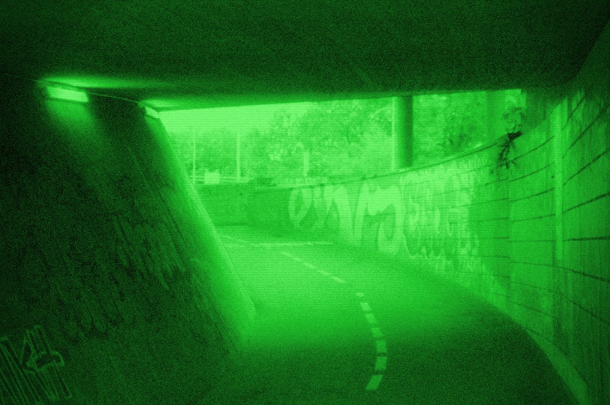The same photo with the Night Vision look