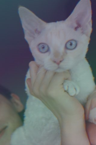 Hologram